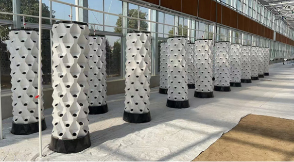 Malido's Soilless Cultivation System Wins Rave Reviews from Romanian Client